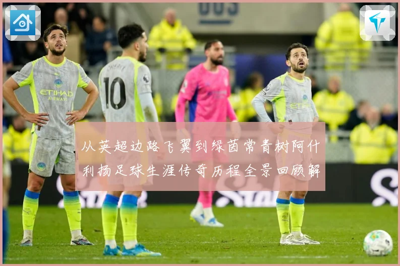 从英超边路飞翼到绿茵常青树阿什利扬足球生涯传奇历程全景回顾解析-深度解析